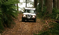 Hobin Gap Disco